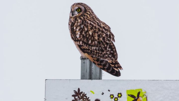 Sensibiliser les élèves du RPI les Hauts Cambrésis à la biodiversité et aux enjeux écologiques locaux